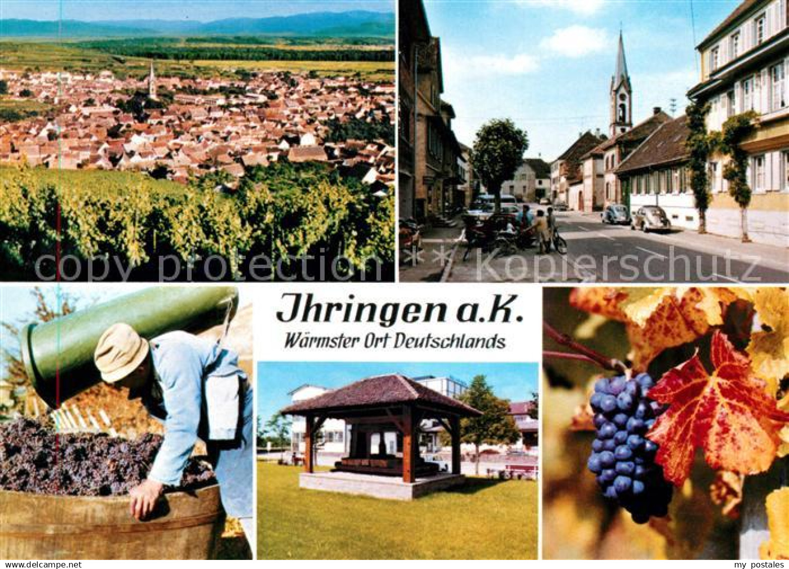 73196809 Ihringen Panorama Dorfstrasse Weinlese Pavillon Ihringen