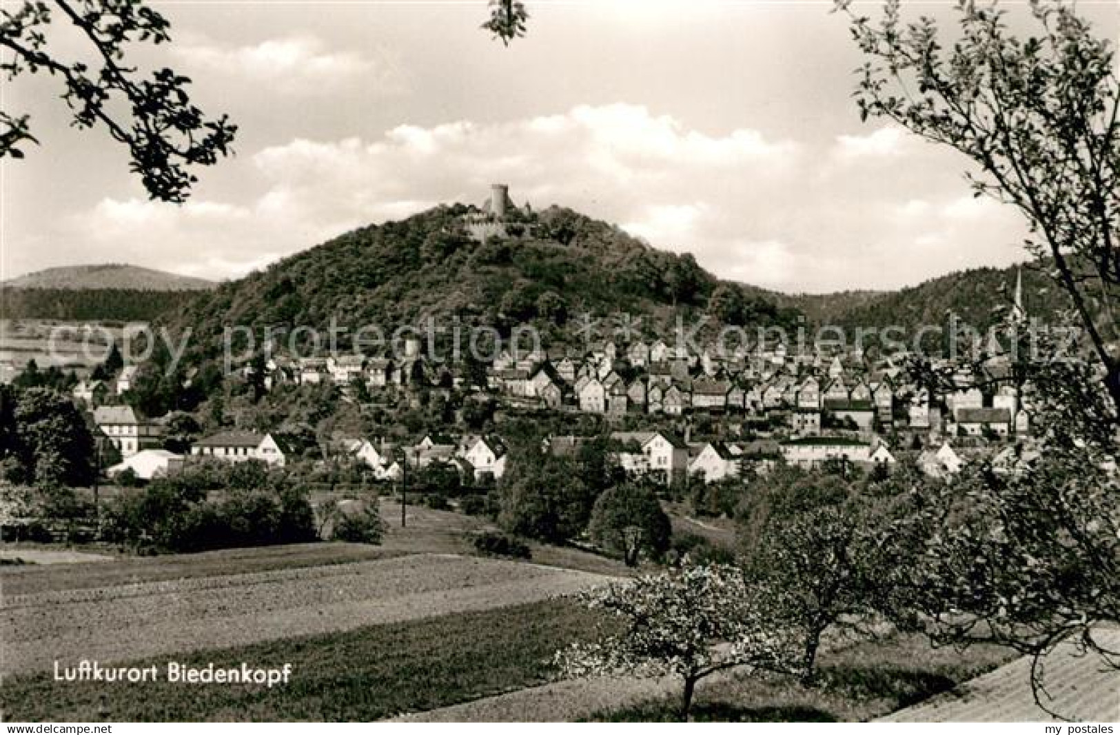 73212598 Biedenkopf Gesamtansicht Luftkurort mit Schloss Biedenkopf