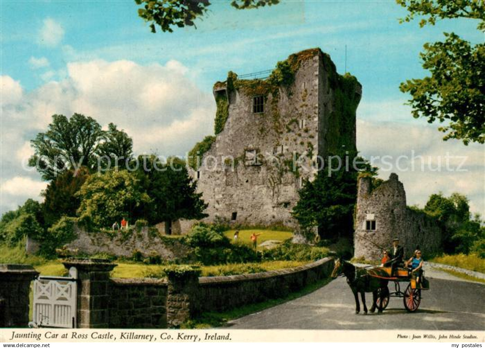 73258340 Kerry Irland Jaunting Car at Ross Castle Killarney Kerry irland