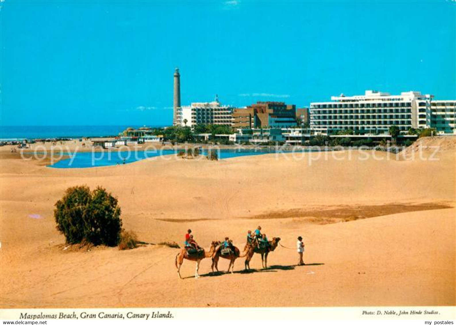 73286763 Gran Canaria Maspalomas Beach Gran Canaria