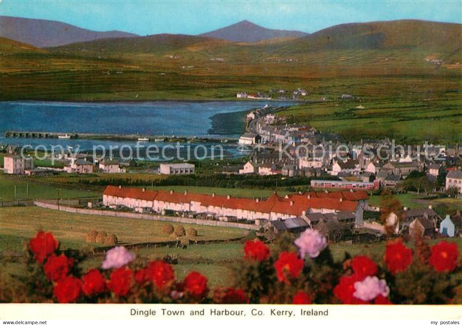 73599761 Dingle Kerry Panorama Town and Harbour Dingle Kerry