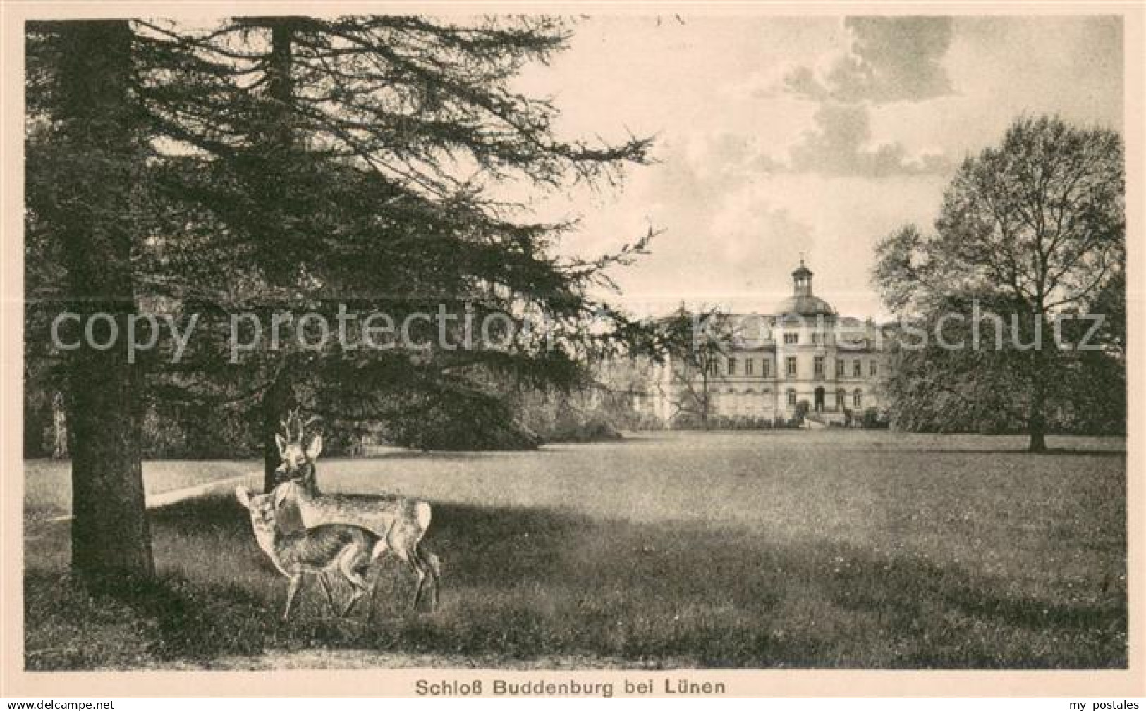 73690010 Luenen Schloss Buddenburg Rehe Parkanlagen Kuenstlerkarte Luenen