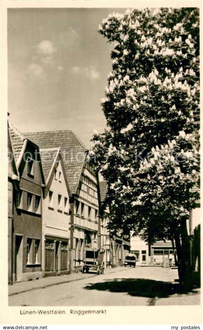 73690011 Luenen Roggenmarkt Kastanienbaum Luenen