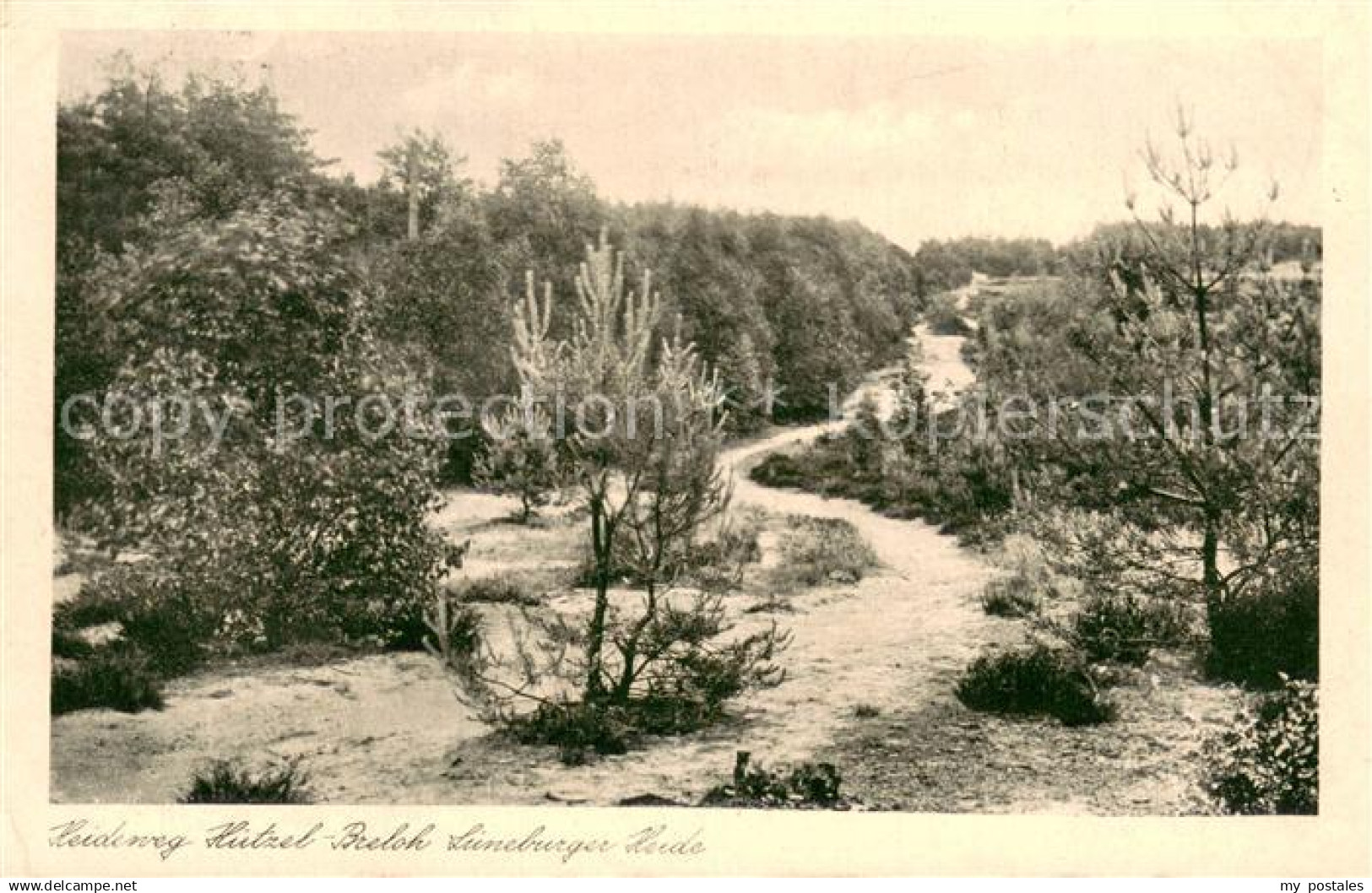 73690408 Lueneburger Heide Heideweg Huetzel Breloh Lueneburger Heide