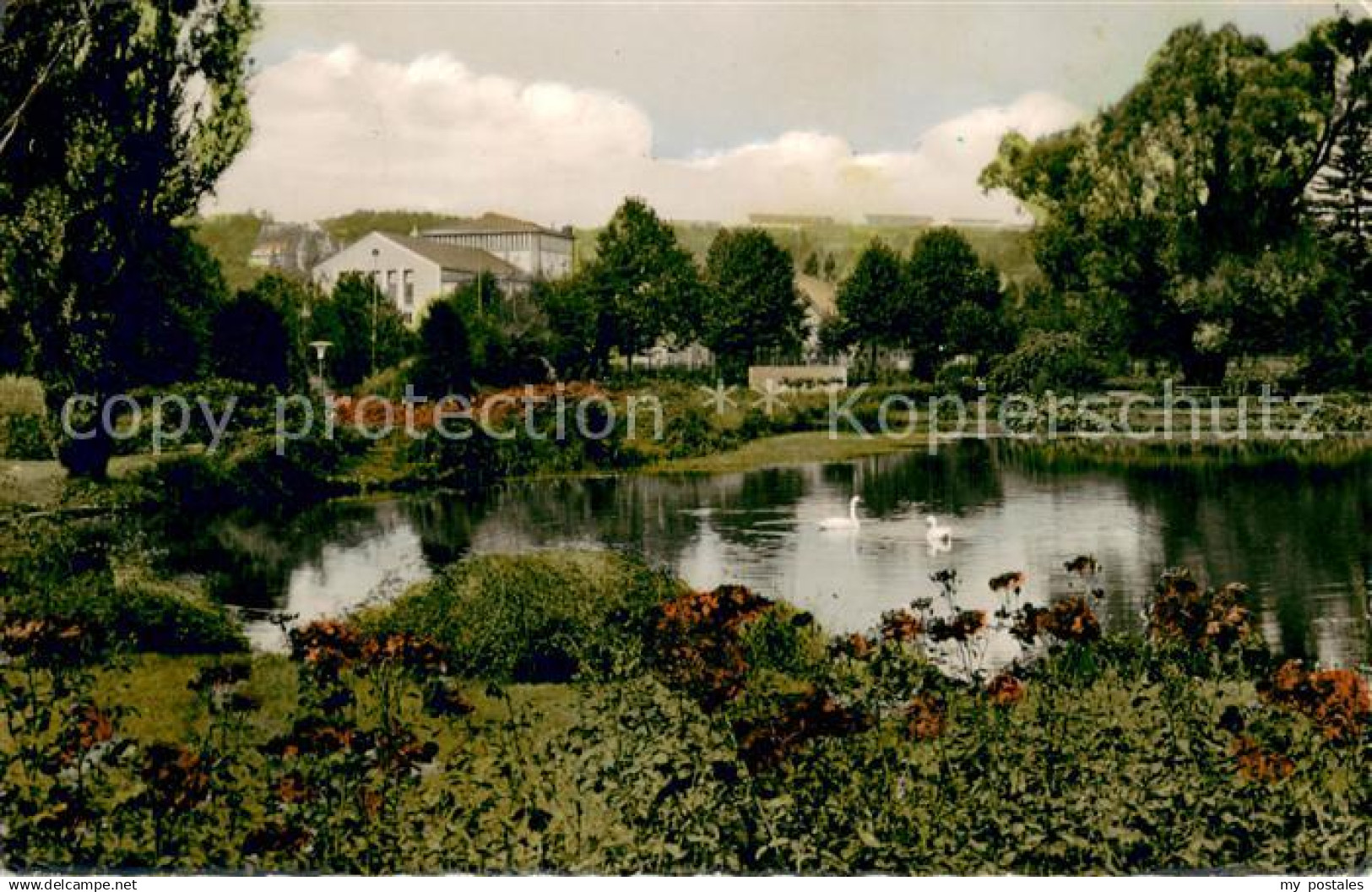 73694637 Zweibruecken Pfalz Rosengarten am grossen Weiher Schwaene Zweibruecken