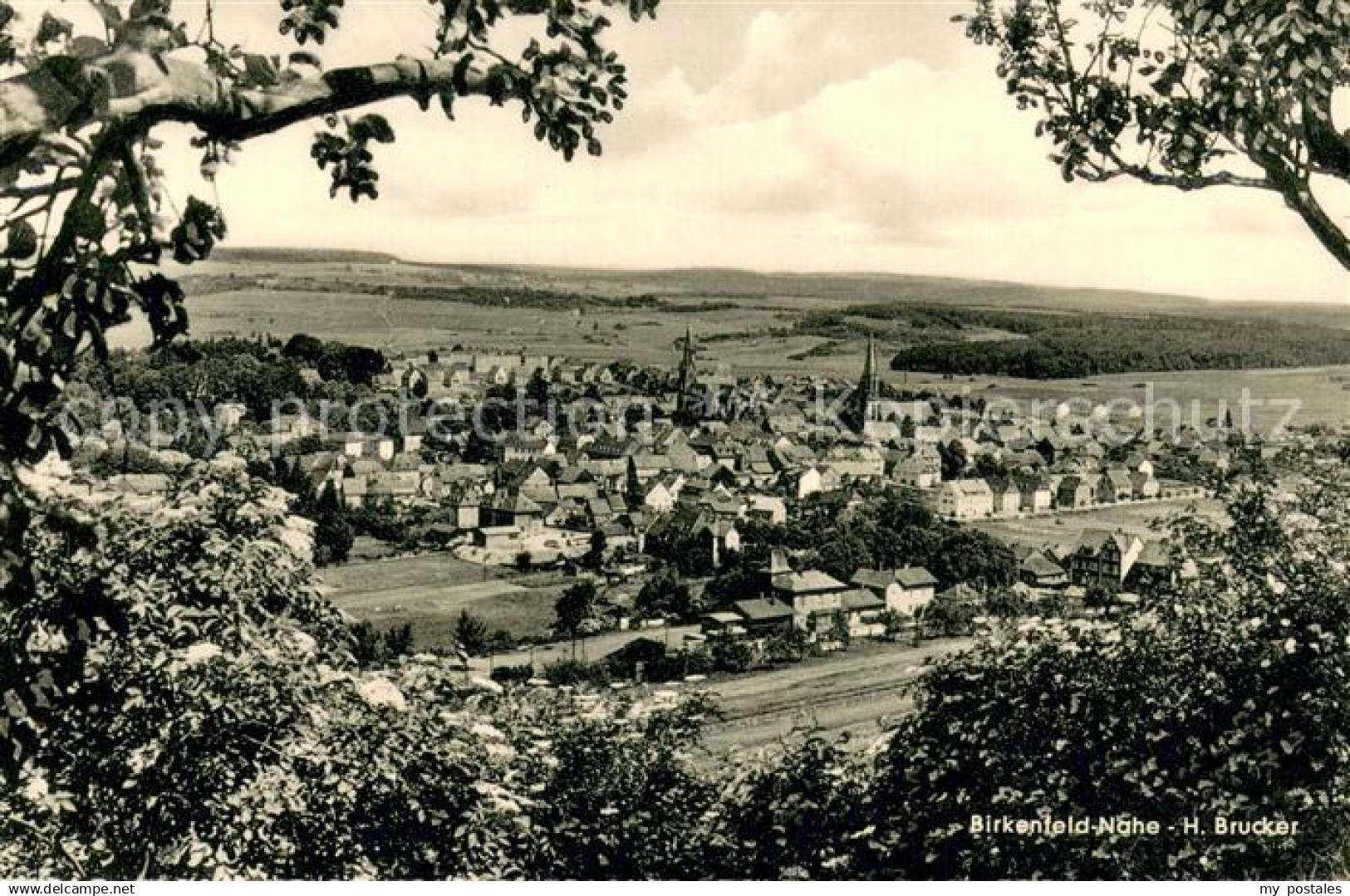 73694661 Birkenfeld Nahe Panorama Blick ins Tal Birkenfeld Nahe