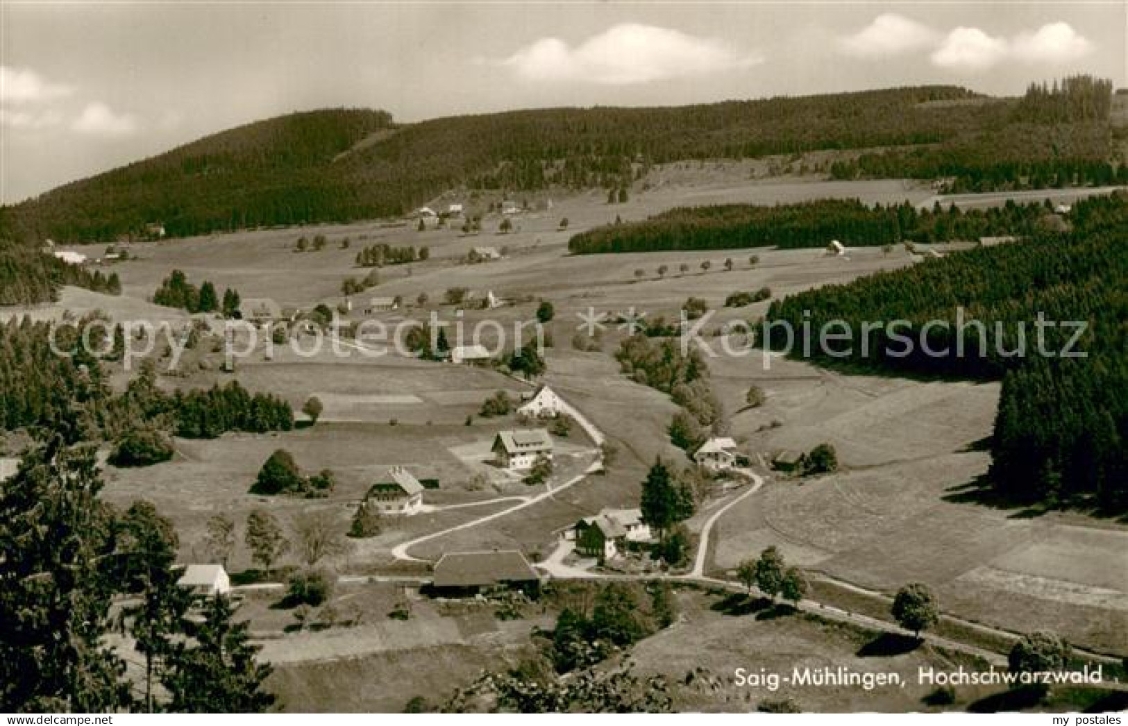 73767783 Muehlingen Saig Schwarzwald Teilansicht Hochschwarzwald