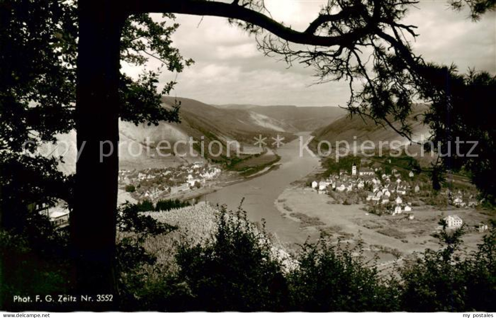 73810814 Alf Bullay Mosel Blick ins Moseltal Alf Bullay Mosel