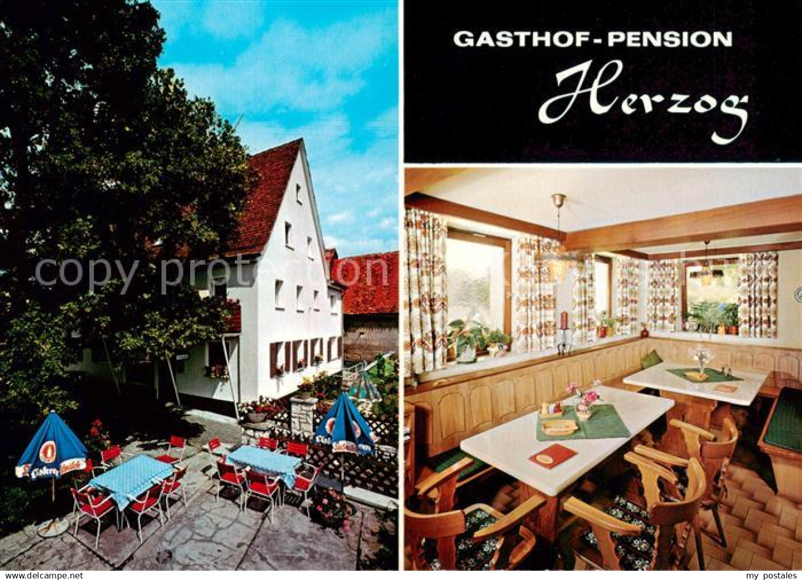 73863366 Lauf Pegnitz Gasthof Pension Herzog Gastraum Terrasse Lauf Pegnitz