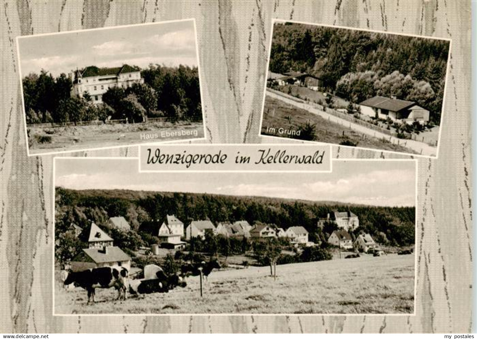 73878718 Wenzigerode Bad Zwesten Gaestehaus Haus Ebersberg Im Grund Ortsansicht