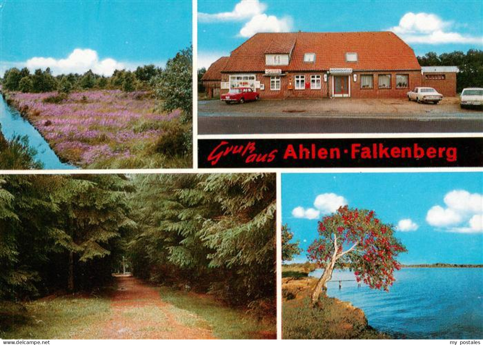 73885024 Ahlen-Falkenberg Gasthaus Moorquelle Heidelandschaft Waldweg Uferpanora