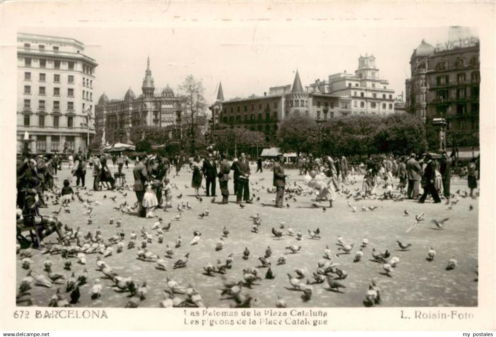 73943694 Barcelona Cataluna ES Las Palomas de la Plaza Cataluna