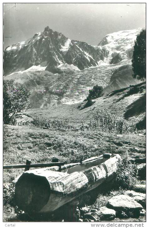 74 - L'eau claire des hautes altitudes (Aiguille du Midi, Massif du Mont-Blanc)