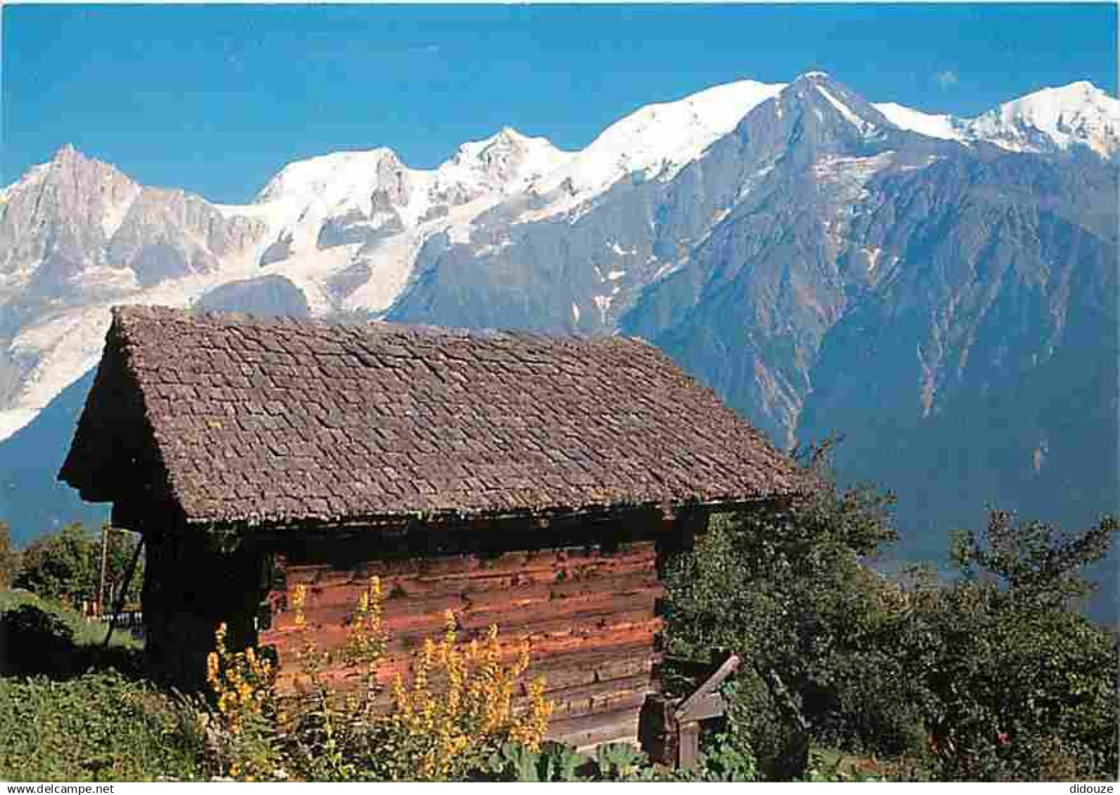 74 - Les Houches - Foyer de Charité La Flatière - Chalets - CPM - Voir Scans Recto-Verso