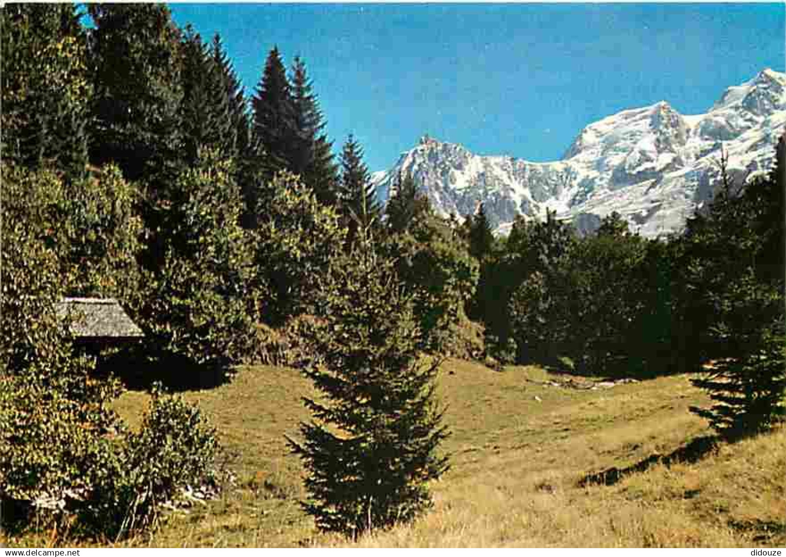 74 - Les Houches - Foyer de Charité La Flatière - Le Vallon - CPM - Voir Scans Recto-Verso