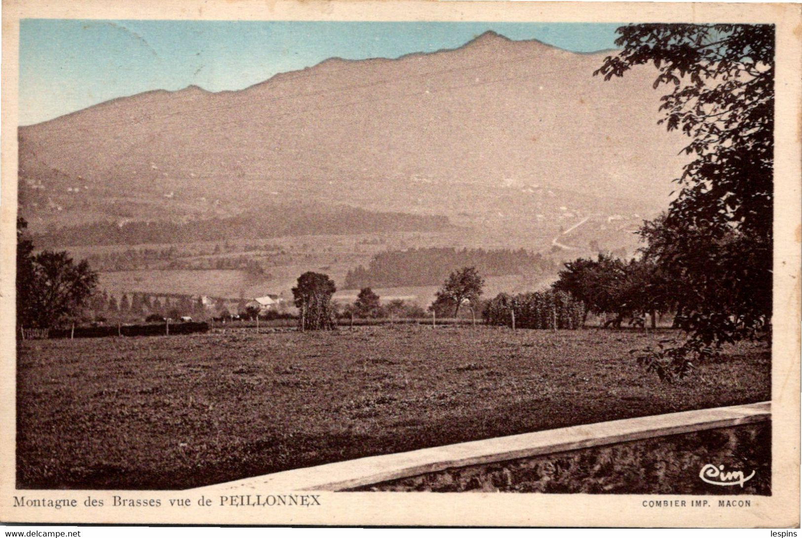 74 - Montagne des Brasses vue de PEILLONNEX --