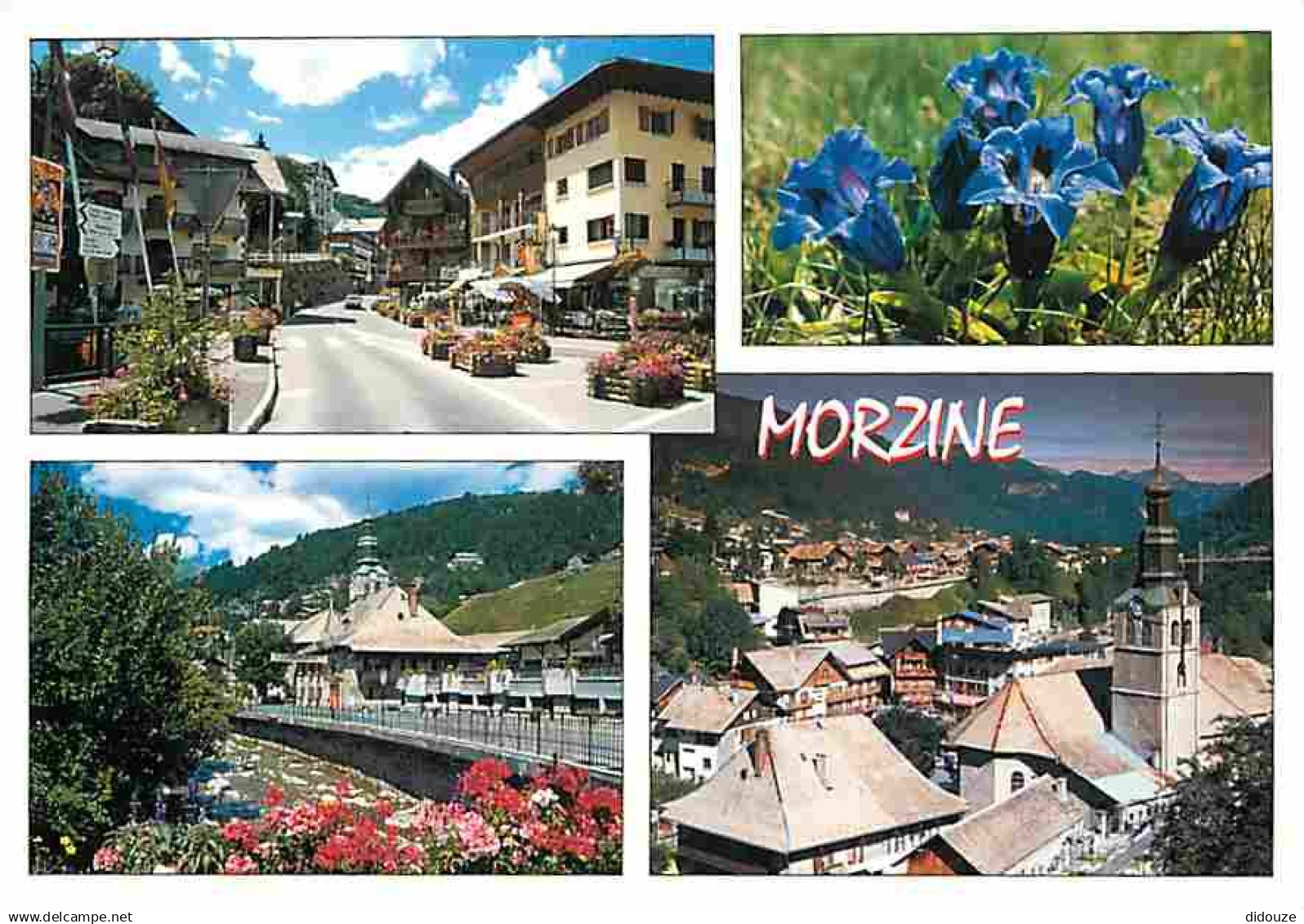 74 - Morzine - Multivues - Fleurs - CPM - Voir Scans Recto-Verso