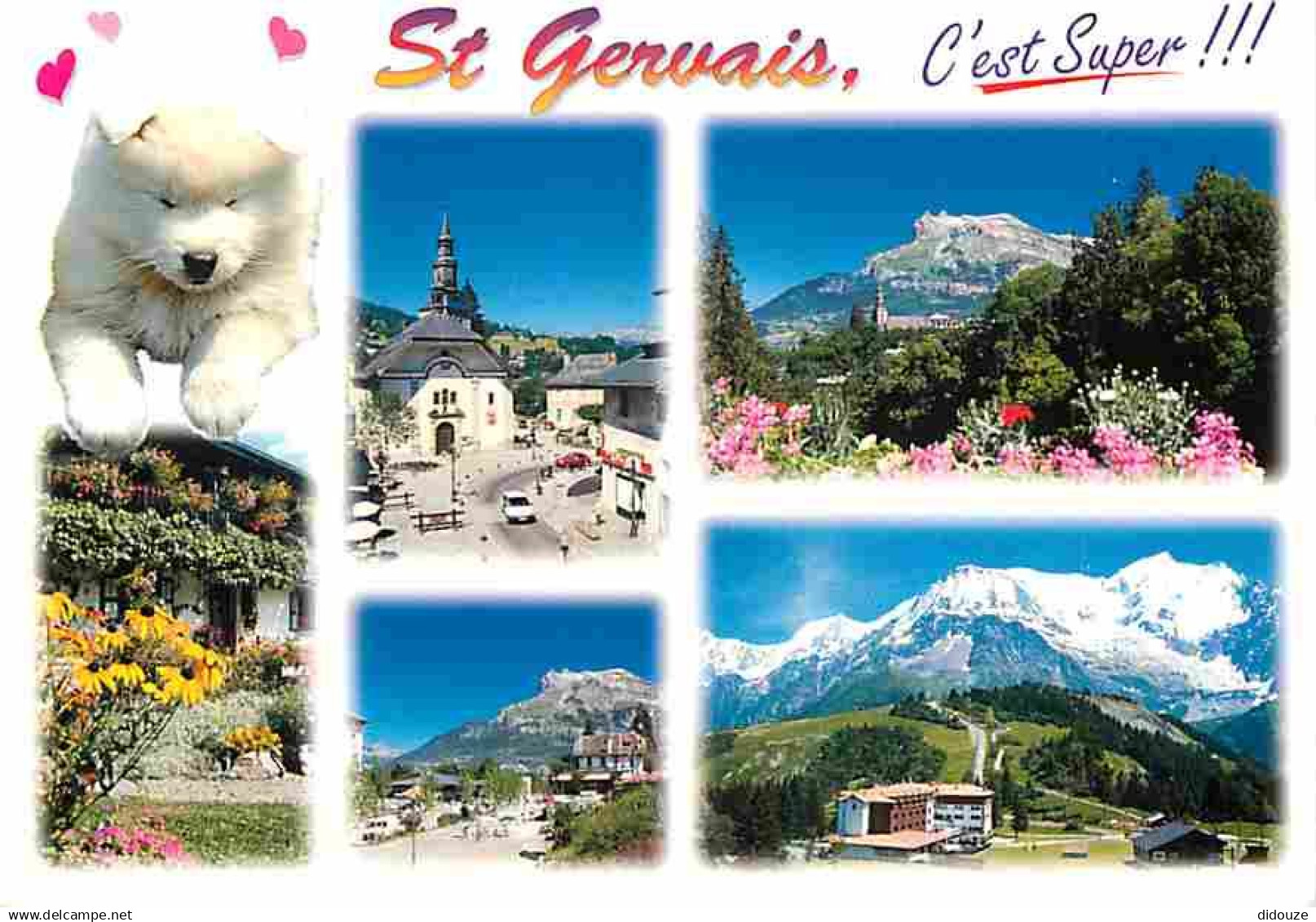 74 - Saint Gervais les Bains - Multivues - Chiens - Husky - Automobiles - Fleurs - CPM - Voir Scans Recto-Verso