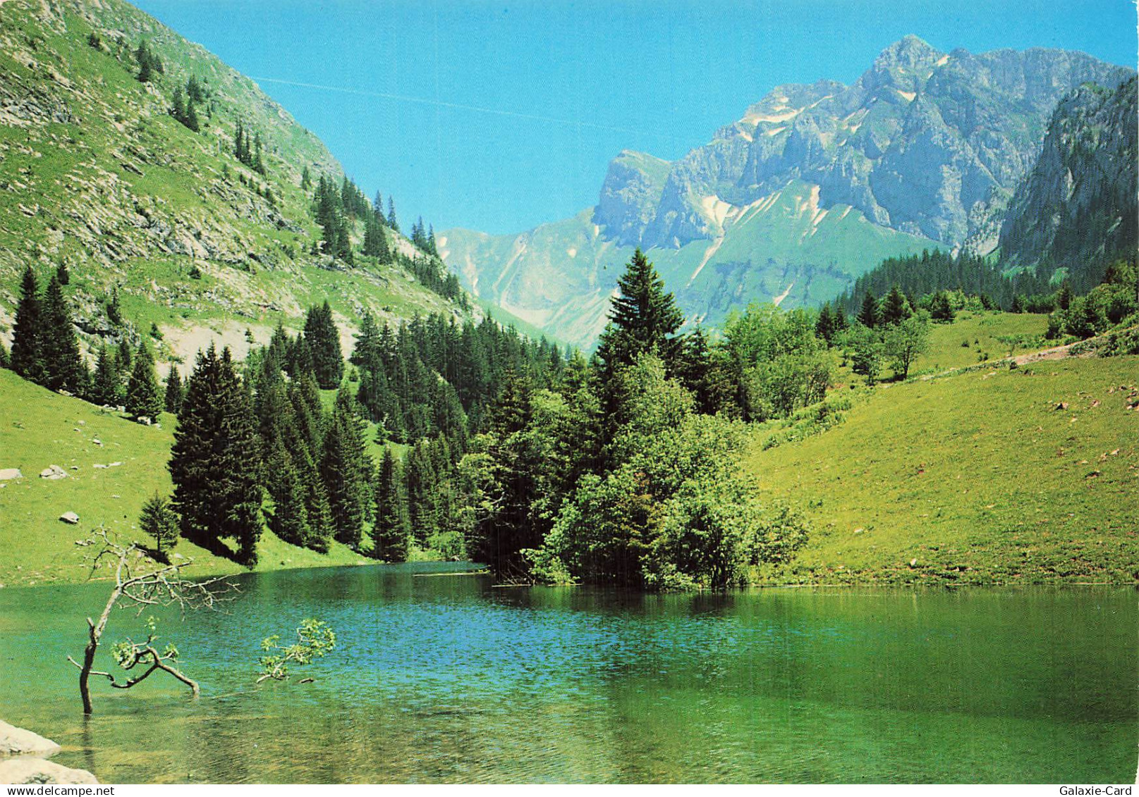 74 VACHERESSE LAC DE FONTAINE