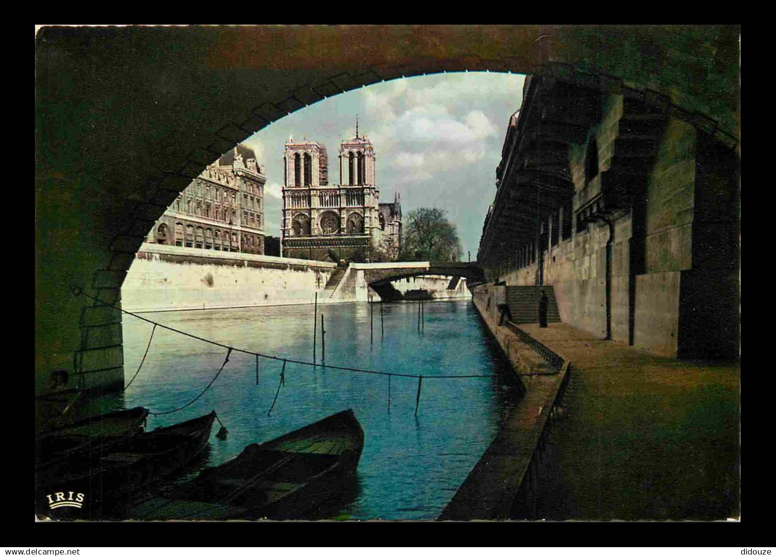 75 - Paris - La Seine et ses bords - Promenade sous les Ponts - Carte Dentelée - CPSM Grand Format - Voir Scans Recto-Ve