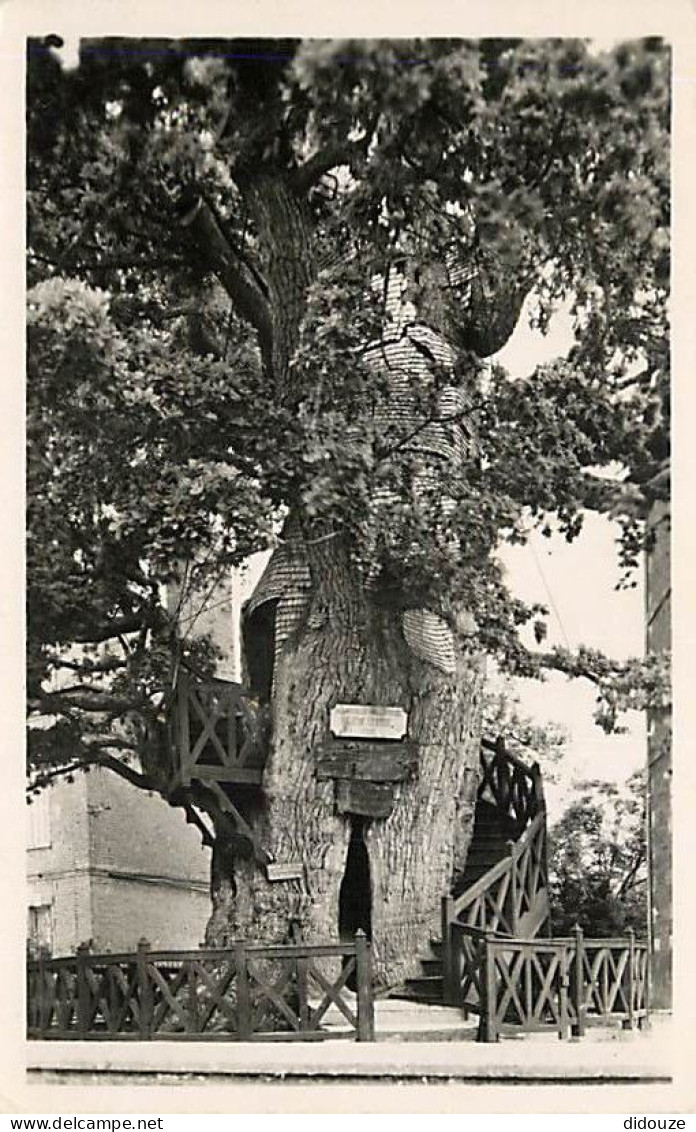 76 - Allouville-Bellefosse - Le vieux Chêne et ses deux Chapelles - Arbre Remarquable - CPM - Voir Scans Recto-Verso