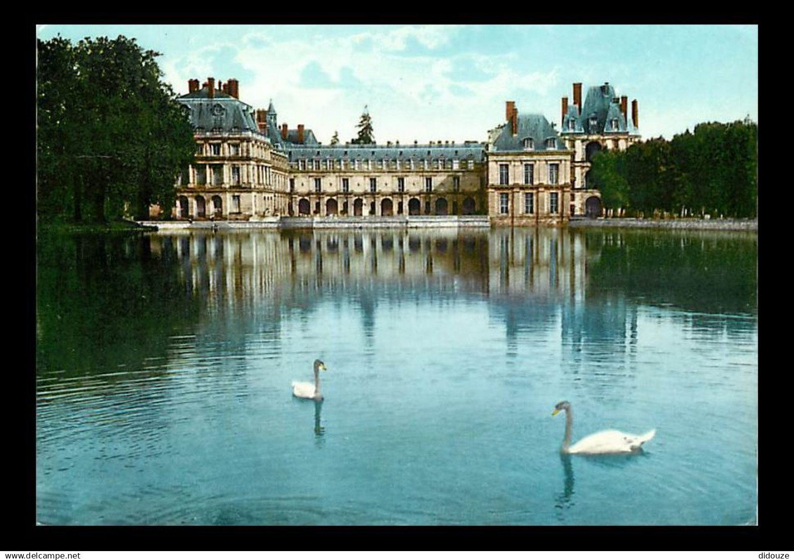 77 - Fontainebleau - Palais de Fontainebleau - L'Etang des Carpes - Cygnes - Flamme Postale de Fontainebleau - CPM - Voi