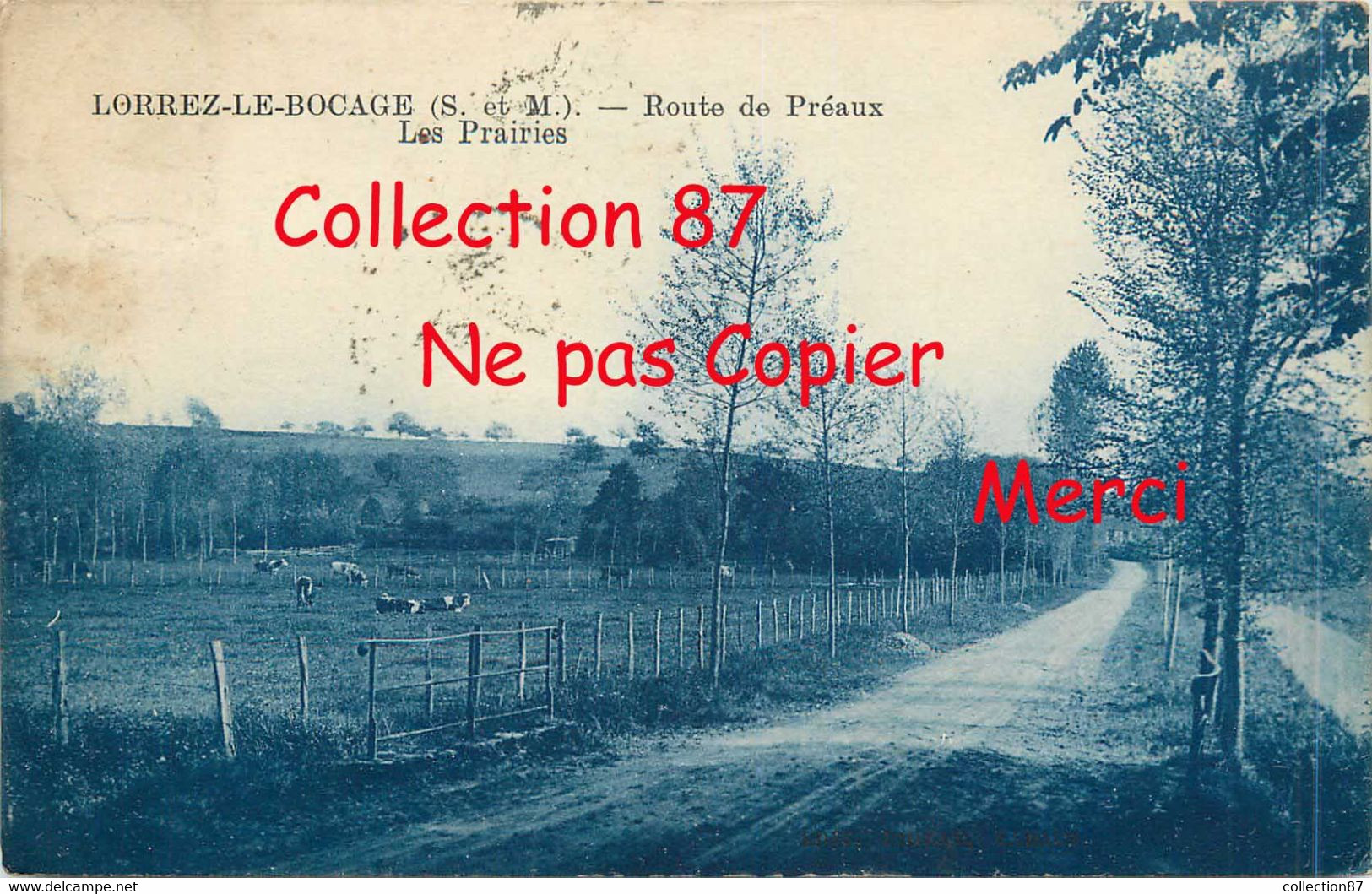 77 ☺♦♦ LORREZ le BOCAGE - RARE < VACHES dans les PRAIRIES route de PREAUX - VACHE