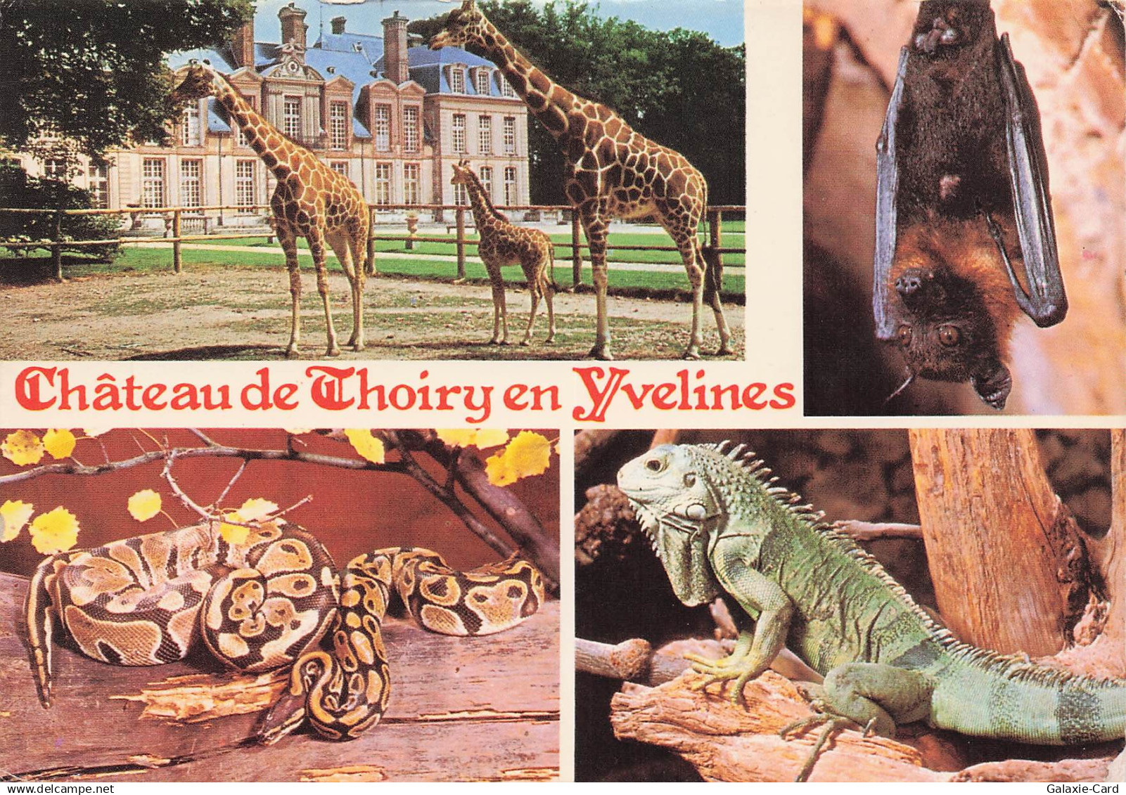 78 THOIRY CHATEAU DE THOIRY