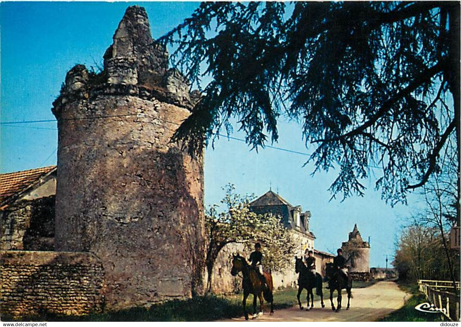 79 - Thouars - Le centre hippique Thouarsais au château de Beauvais aux environs de Thouars - Chevaux - CPM - Voir Scans