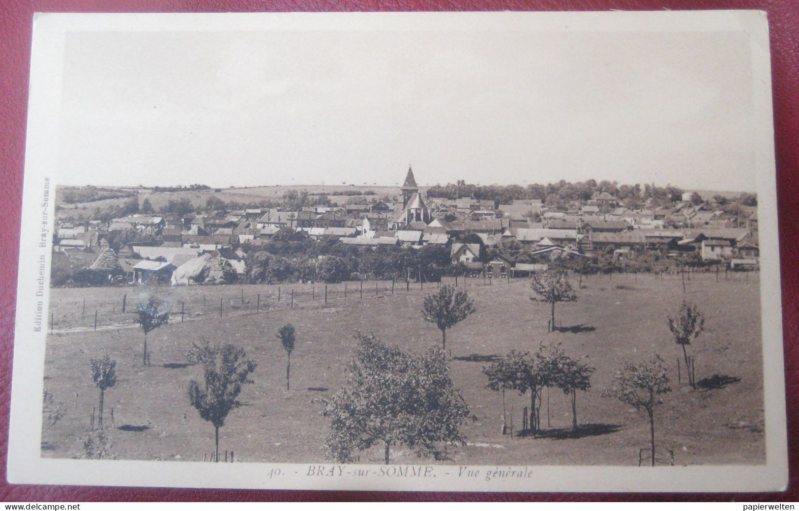 80 Pays du Coquelicot Bray-sur-Somme - Vue générale