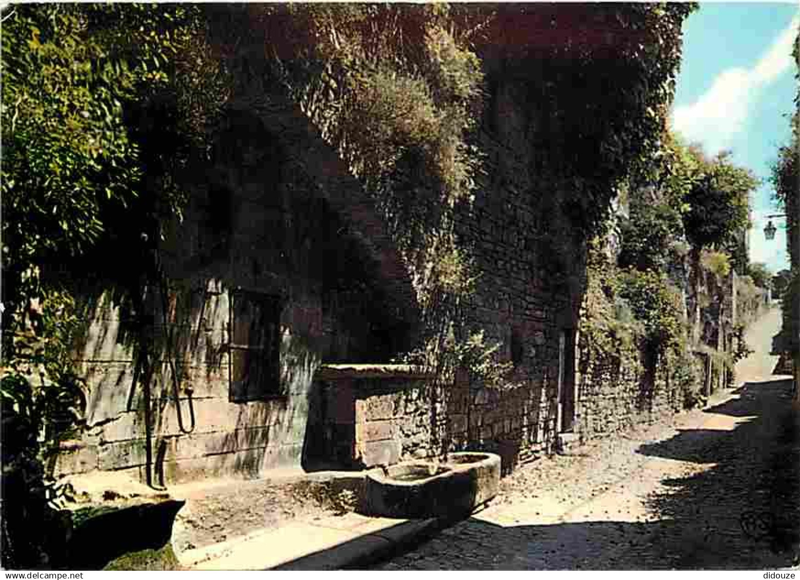 81 - Cordes - Une vieille rue typique de Cordes - CPM - Voir Scans Recto-Verso