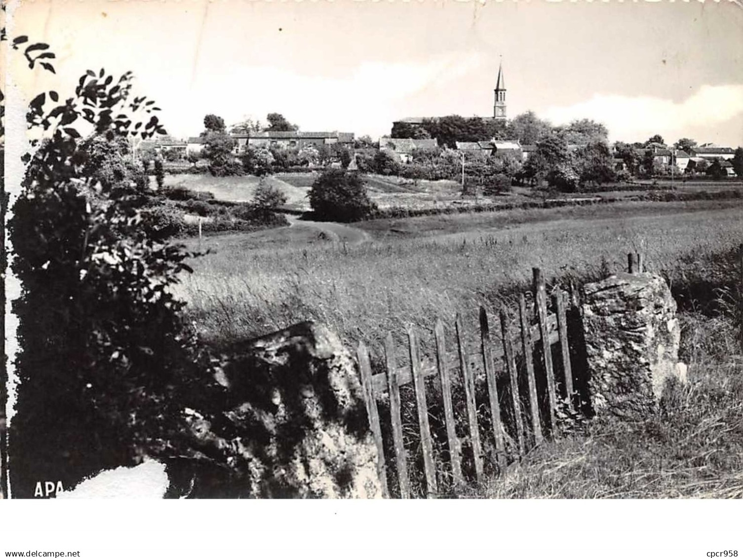 81 . n° 200790 . MONTREDON LABESSONIE . VUE GENERALE . CPSM . 14,5 X 10,5