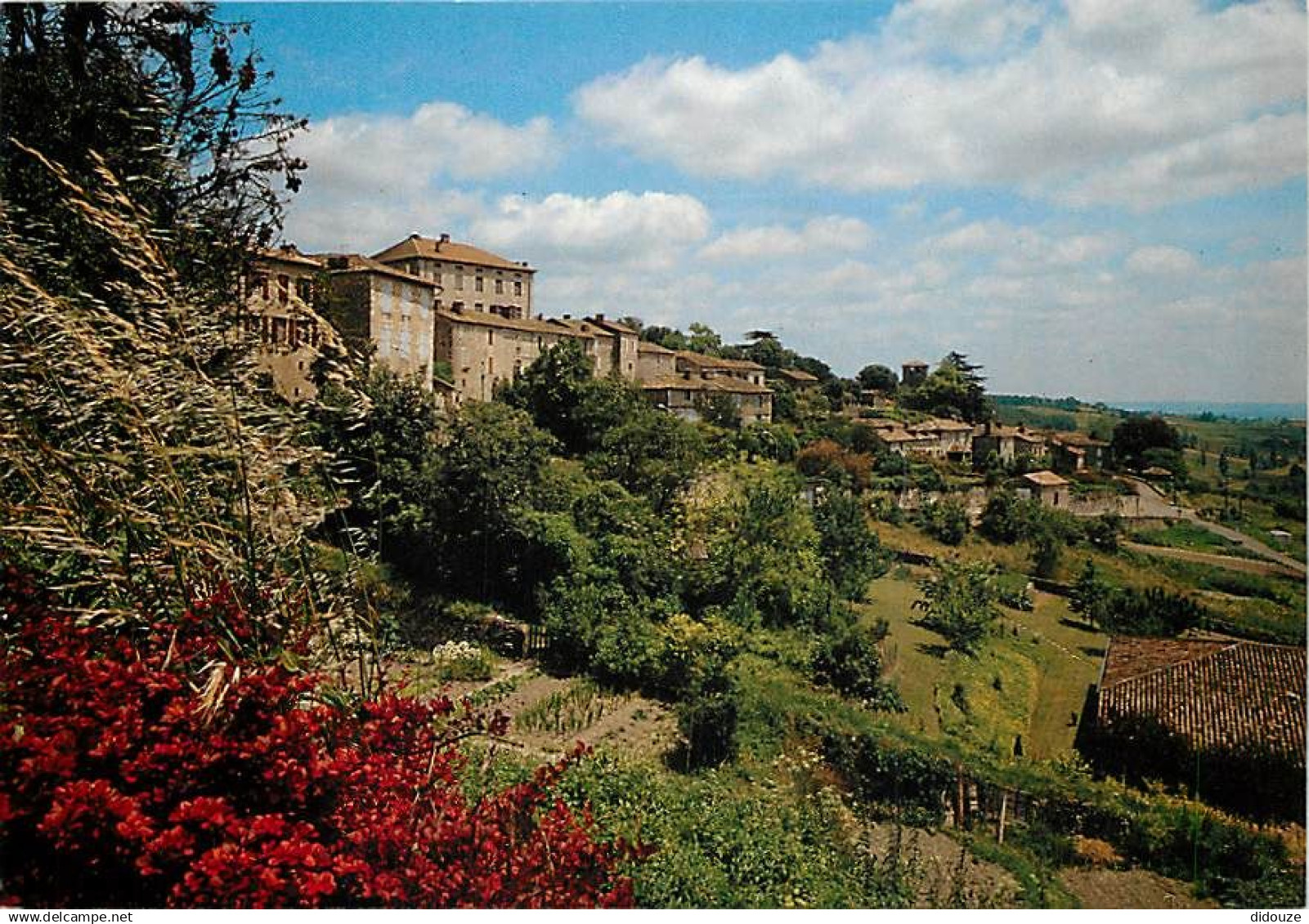 82 - Montpezat de Quercy - Vue Générale - Carte Neuve - CPM - Voir Scans Recto-Verso