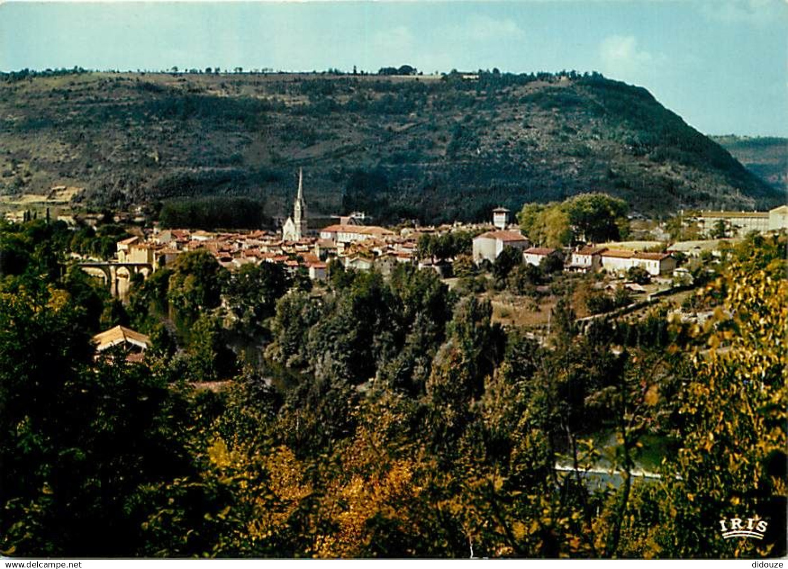 82 - Saint Antonin Noble Val - Vue Générale - CPM - Voir Scans Recto-Verso