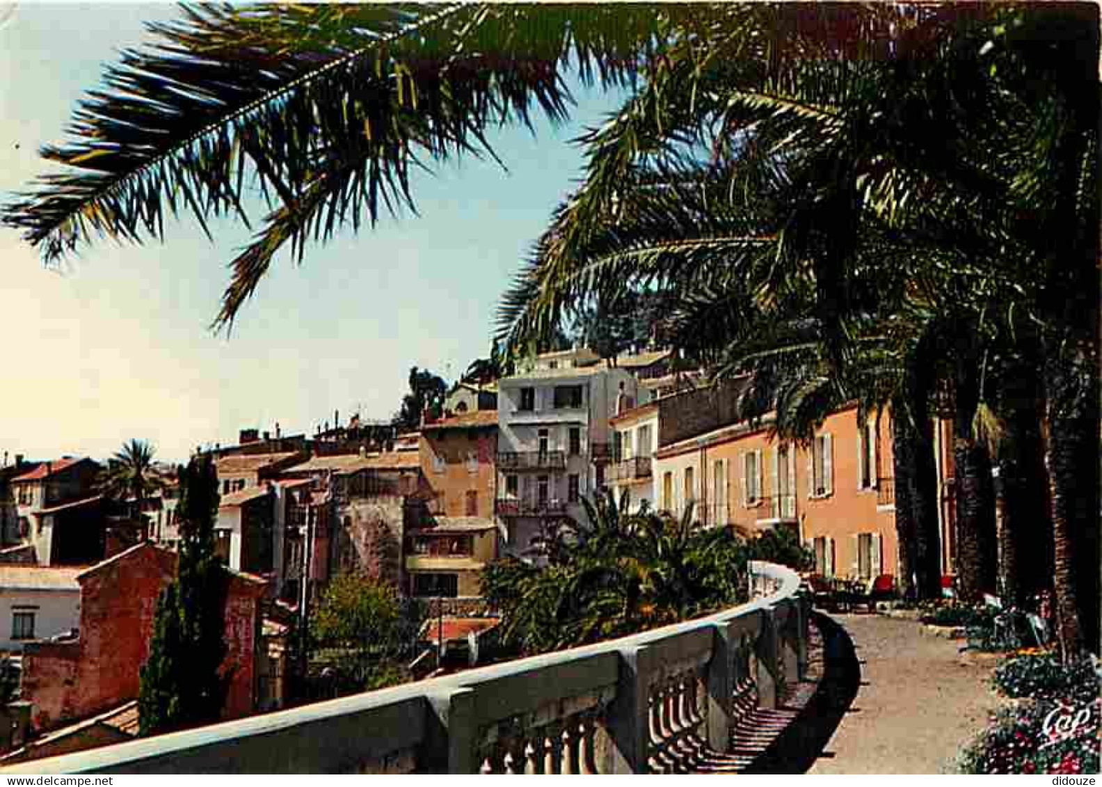 83 - Bormes les Mimosas - Carte Neuve - CPM - Voir Scans Recto-Verso