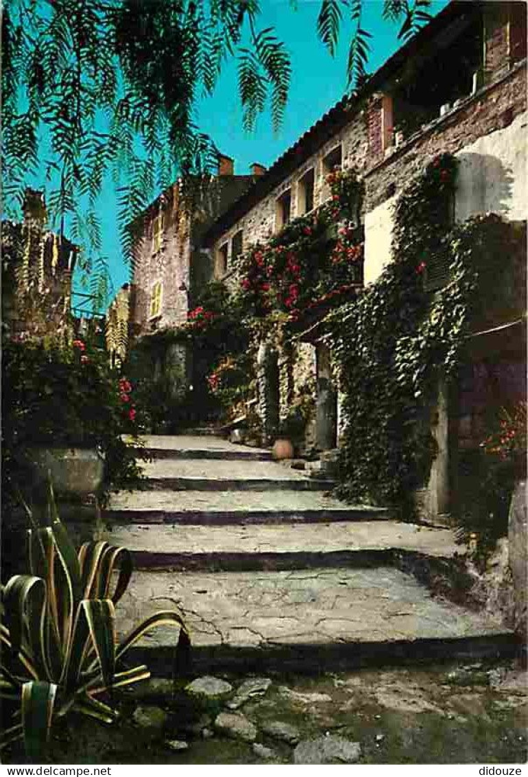 83 - Bormes les Mimosas - Carte Neuve - CPM - Voir Scans Recto-Verso