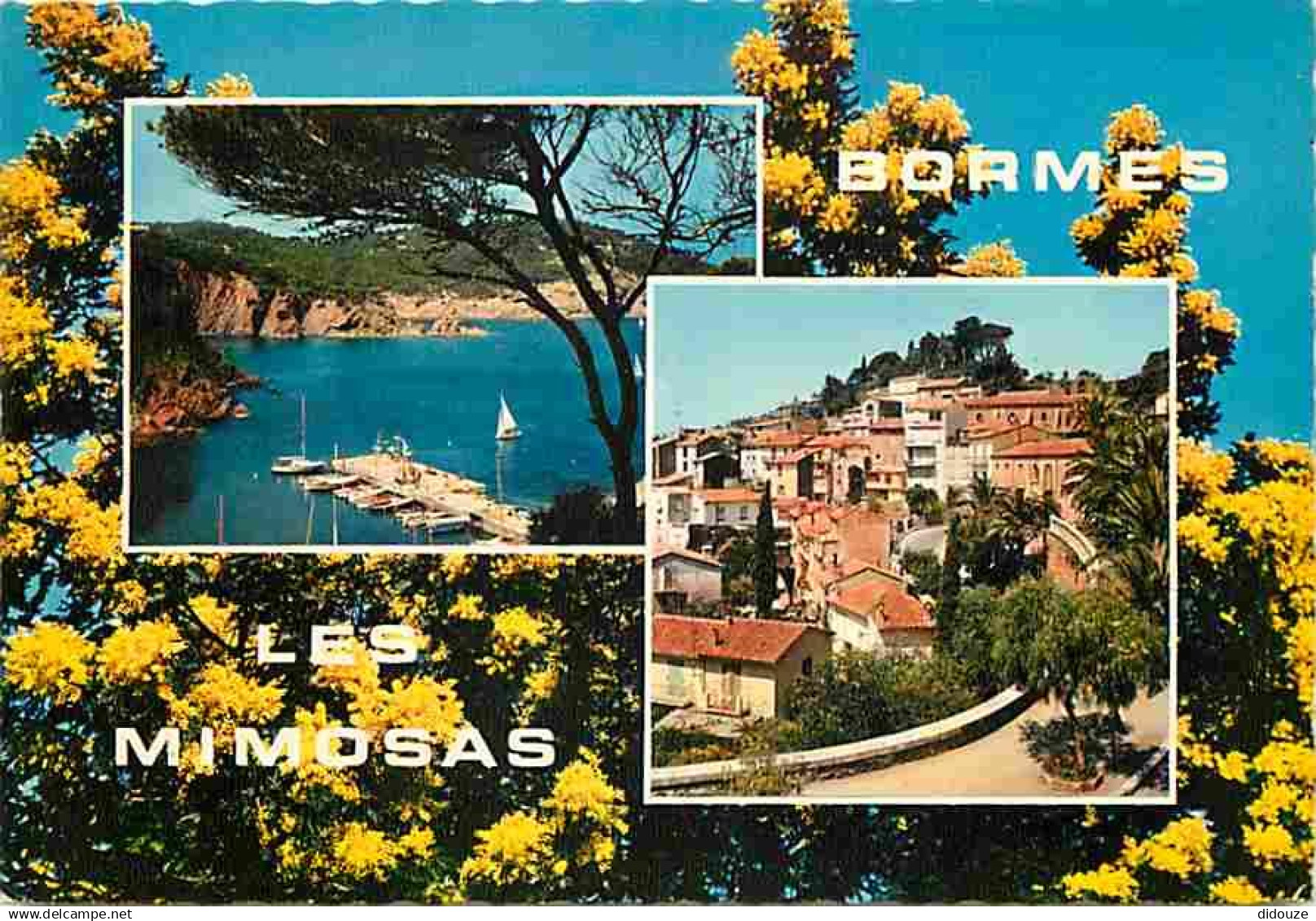 83 - Bormes les Mimosas - Carte Neuve - CPM - Voir Scans Recto-Verso