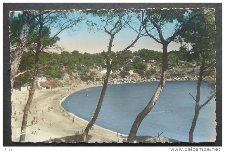 83 Fabrègas La Seyne-sur-Mer plage D83D C83126C RH031339