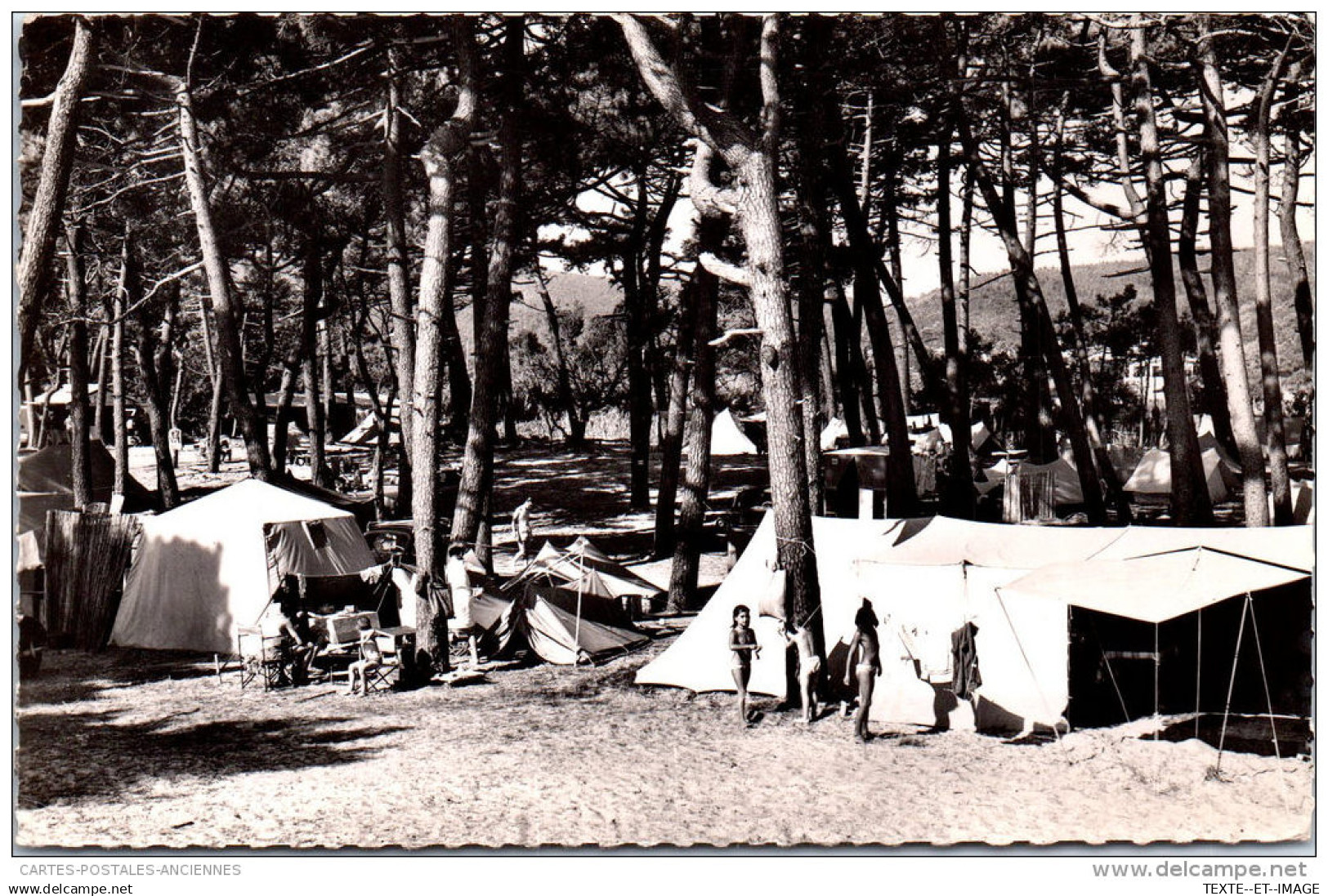 83 LE LAVANDOU - camping boise de la faviere