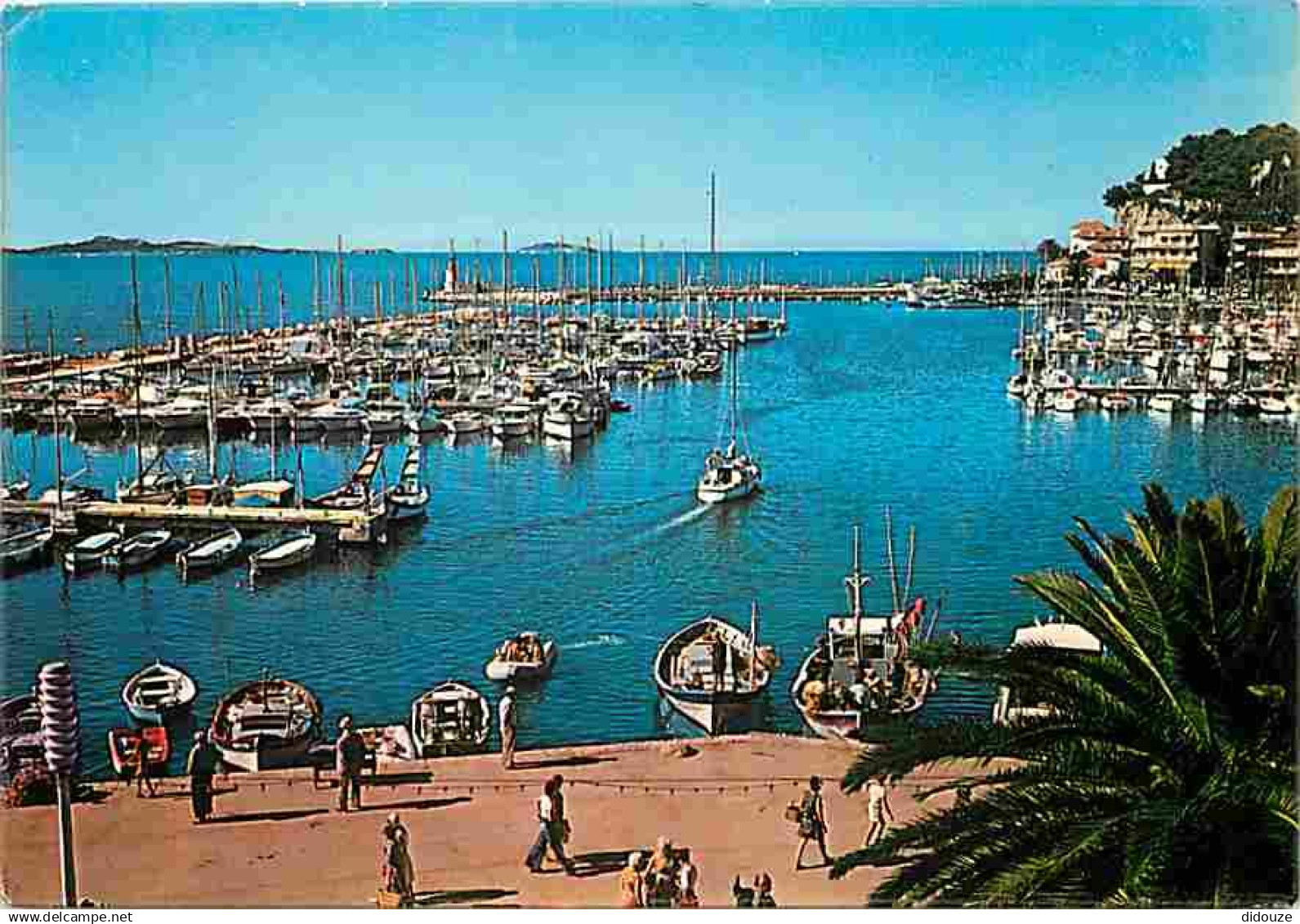 83 - Sanary sur Mer - Le Port - Bateaux - CPM - Voir Scans Recto-Verso