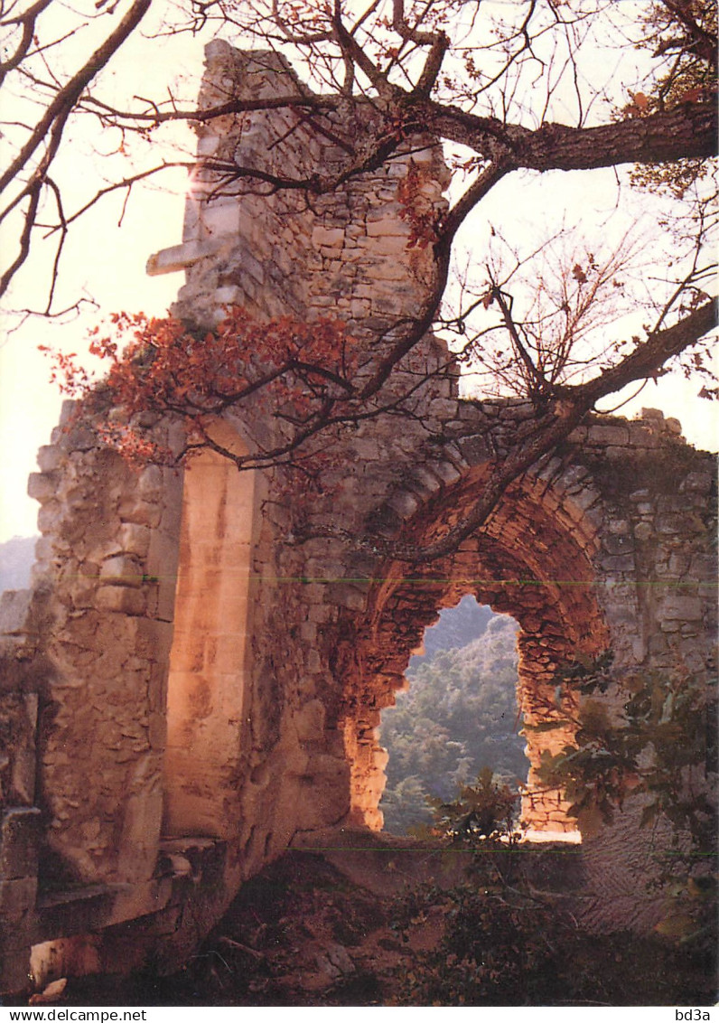 84 - OPPEDE LE VIEUX RUINES DU CHÂTEAU