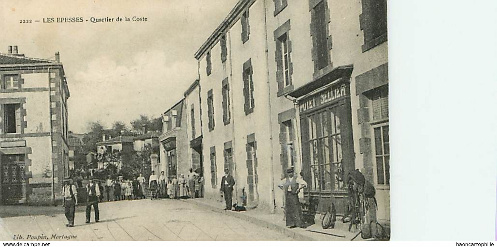 85 Les Epesses  quartier de la coste