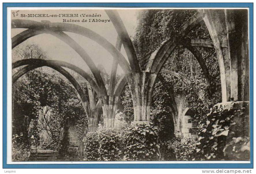 85 - SAINT MICHEL EN L'HERM --  Ruines de l'Abbaye....