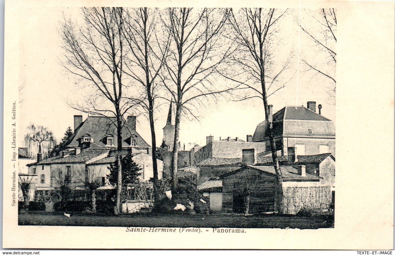 85 SAINTE HERMINE - panorama