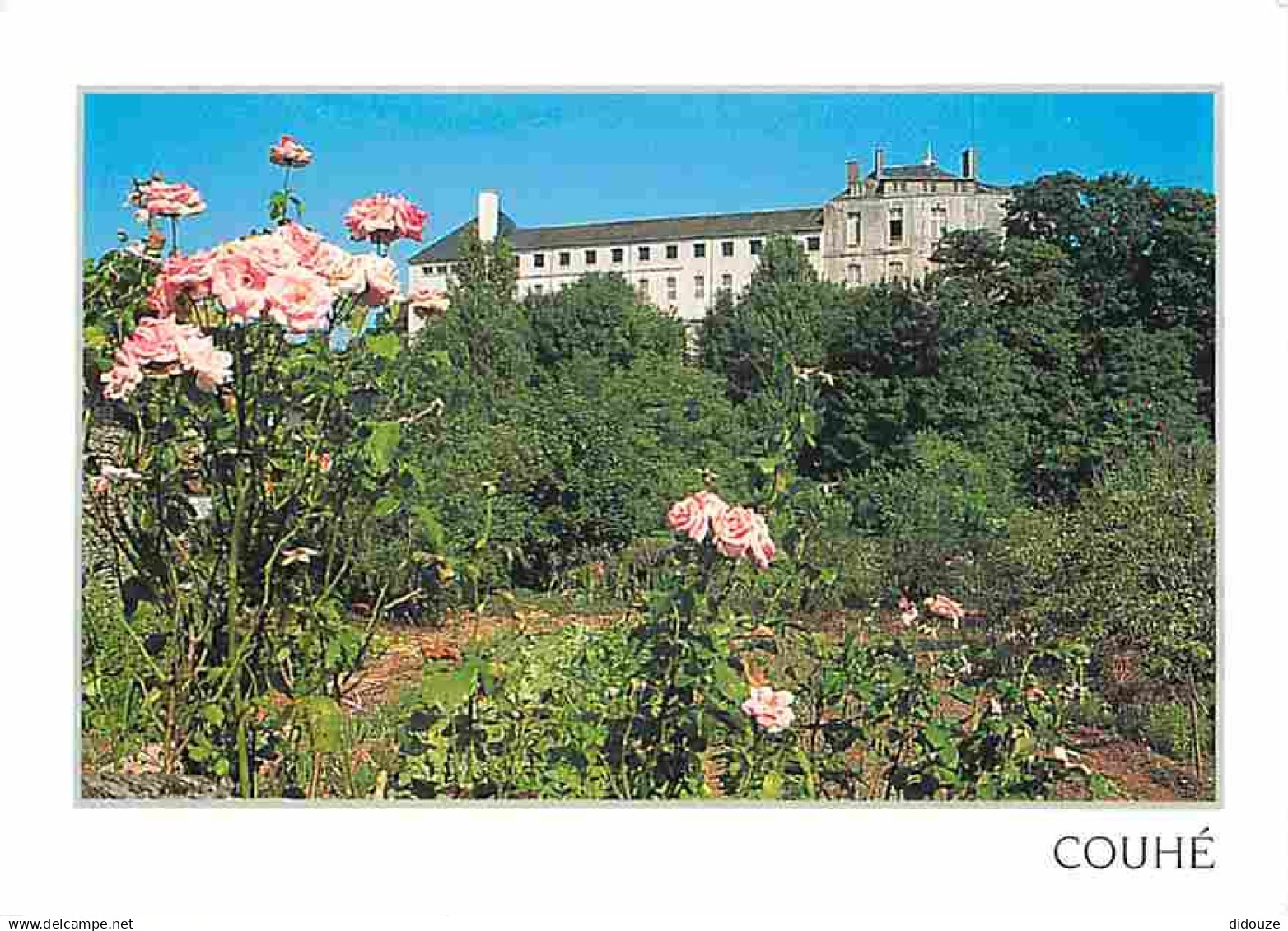 86 - Couhé - Jolie vue - Rosiers - Fleurs - Carte Neuve - CPM - Voir Scans Recto-Verso