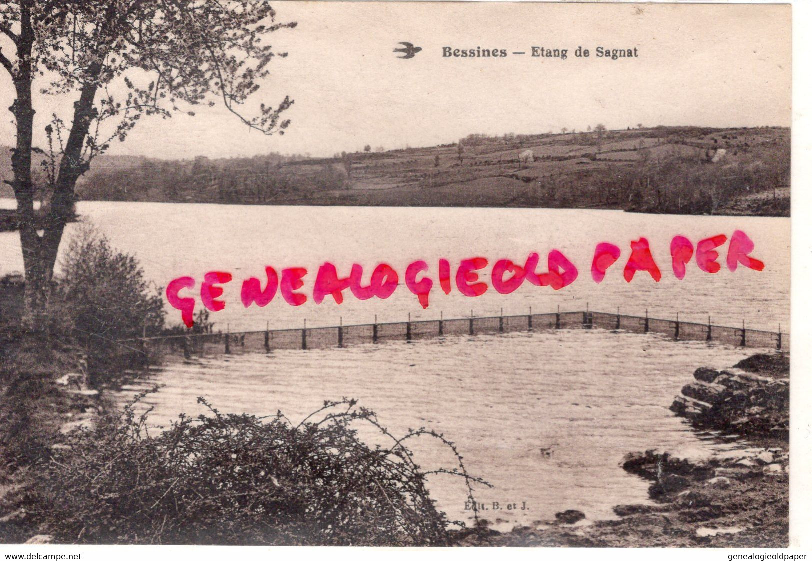 87- BESSINES SUR GARTEMPE- ETANG DE SAGNAT