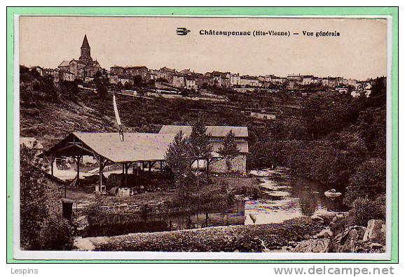 87 - CHATEAUPONSAC -- Vue générale