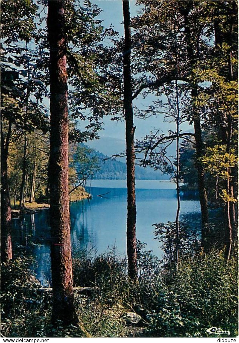 88 - Xonrupt-Longemer - Le lac de Longemer - Carte Neuve - CPM - Voir Scans Recto-Verso