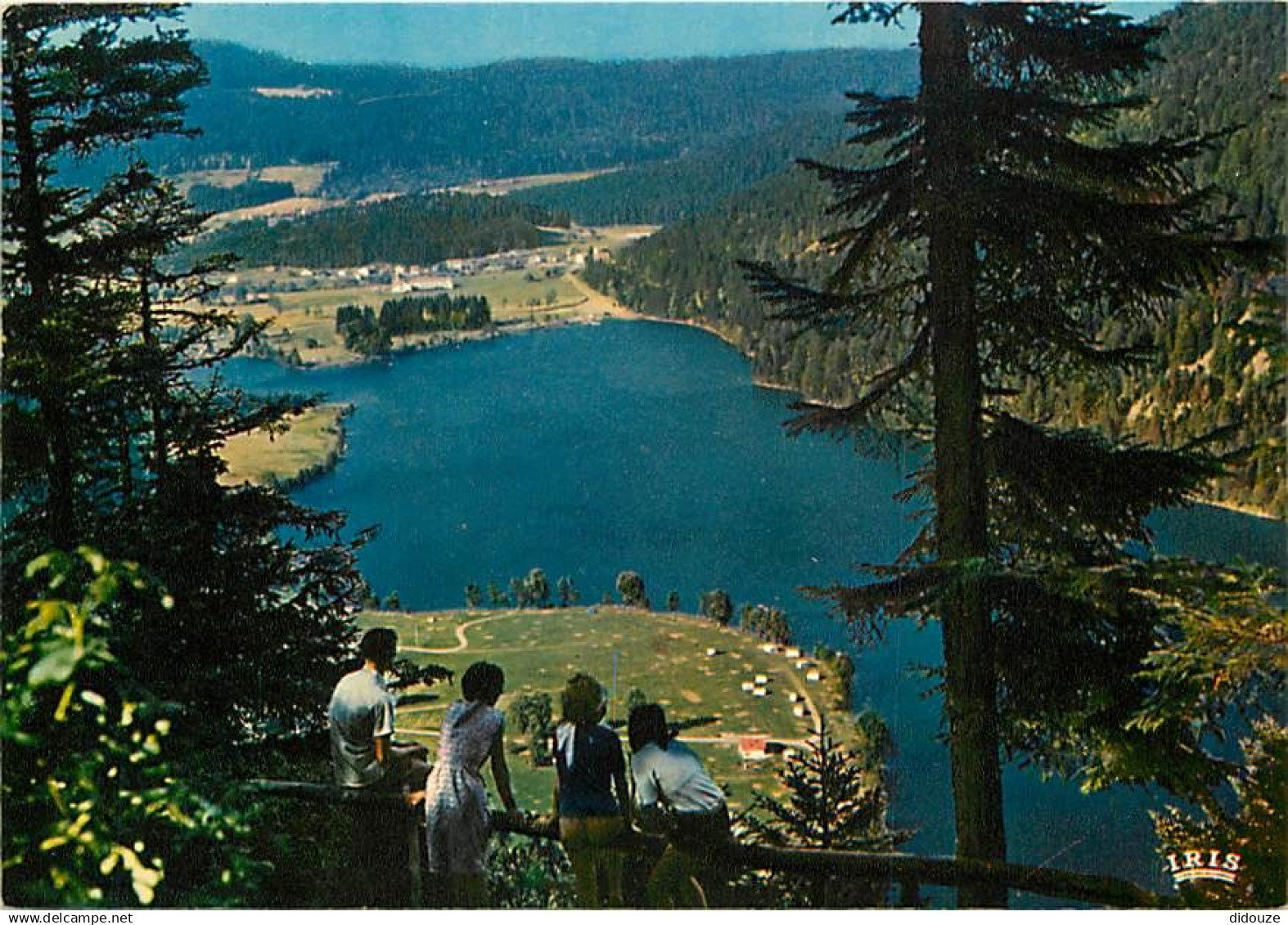 88 - Xonrupt-Longemer - Le lac de Longemer depuis la Roche des Vieux Chevaux - Carte Neuve - CPM - Voir Scans Recto-Vers