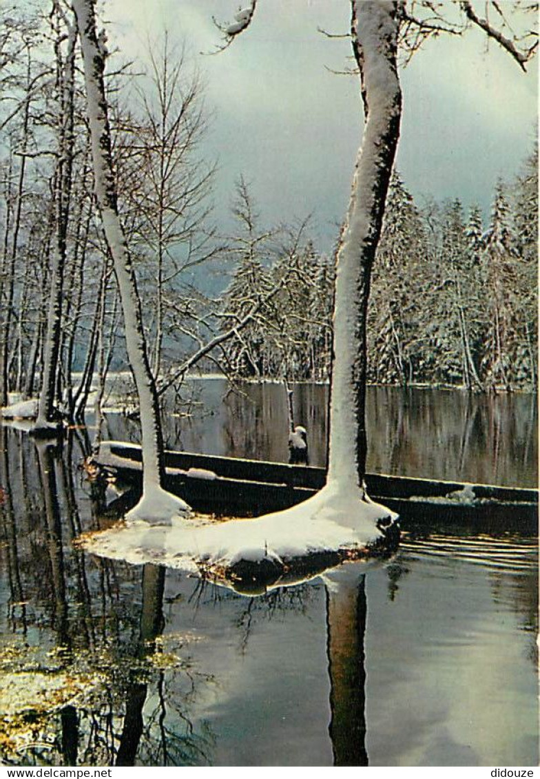 88 - Xonrupt-Longemer - Les Rives du Lac de Longemer - Hiver - Neige - Carte Neuve - CPM - Voir Scans Recto-Verso